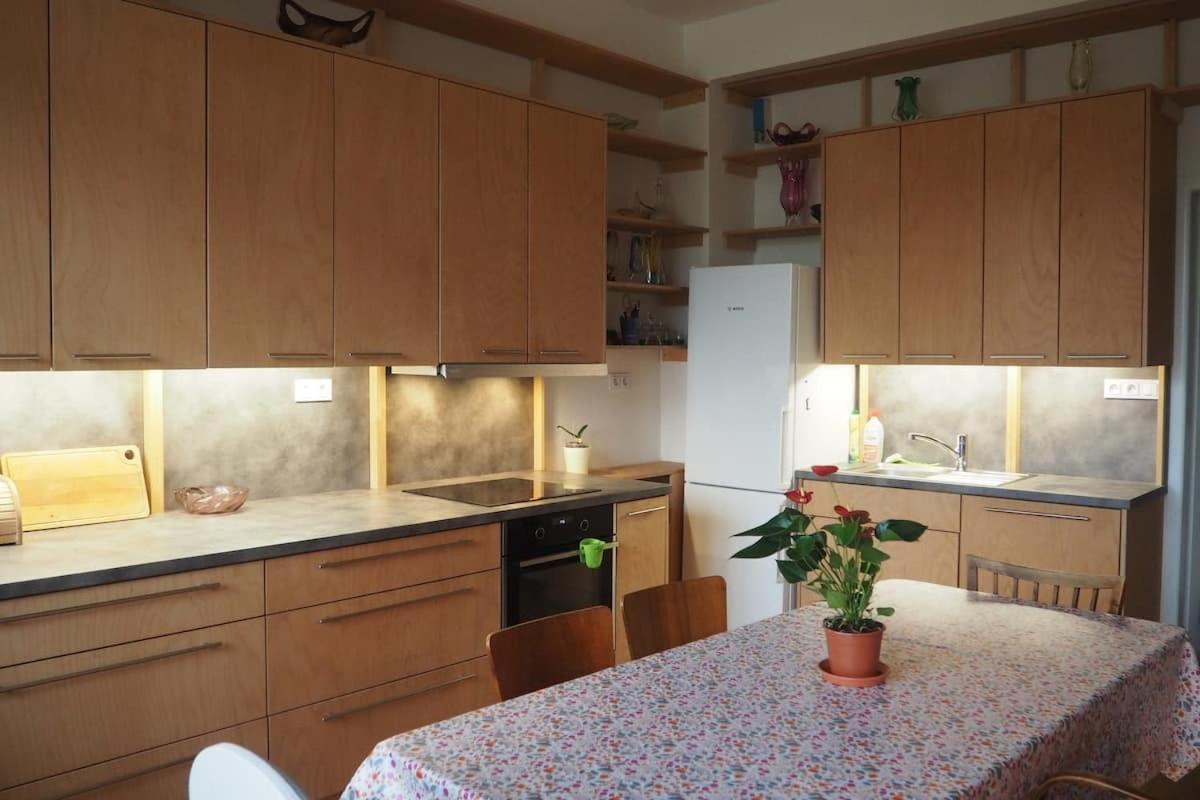 Rodinny Apartman V Centru Prahy Прага Экстерьер фото